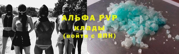 амф Бородино