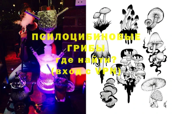 сатива Верея