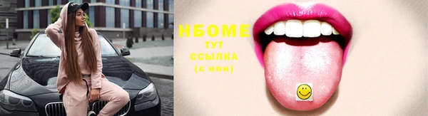 амф Бородино