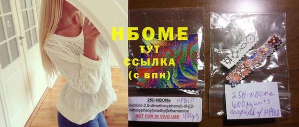 сатива Верея
