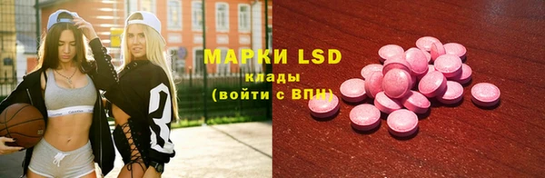 амф Бородино