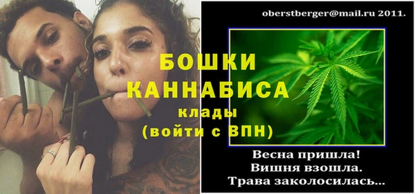 амф Бородино