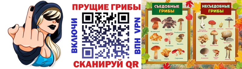 Псилоцибиновые грибы Psilocybe  где купить наркоту  Подпорожье 